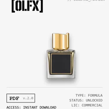 Ani Formula (Reconstruction)