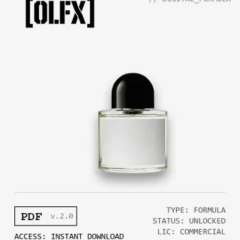 Bal D'Afrique Formula (Reconstruction)