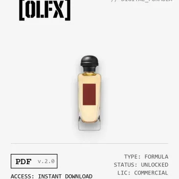 Bel Ami Vetiver Formula (Reconstruction)