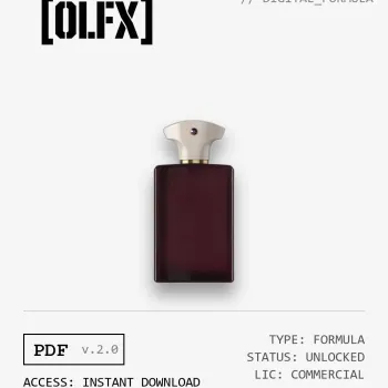 Boundless Formula (Reconstruction)