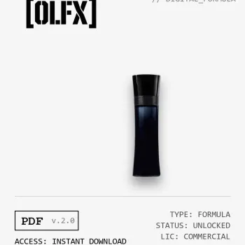 Code Formula (Reconstruction)