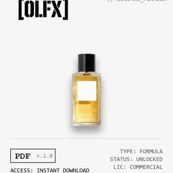 Comète Formula (Reconstruction)