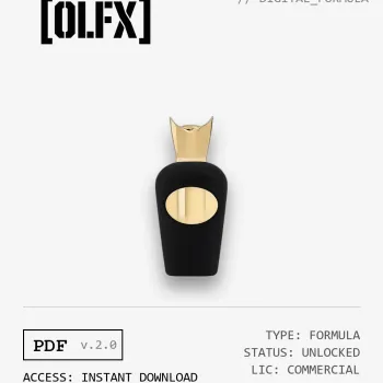 Erba Leather Formula (Reconstruction)