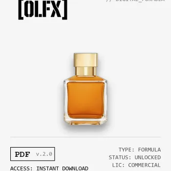 Grand Soir Formula (Reconstruction)