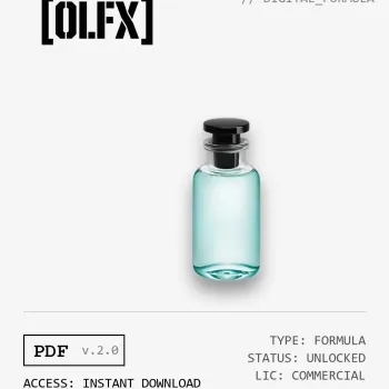 Imagination Formula (Reconstruction)