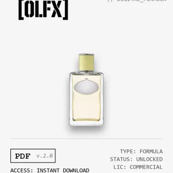 Infusion de Gingembre Formula (Reconstruction)