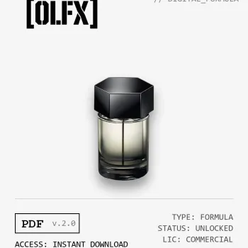 La Nuit de L'Homme Formula (Reconstruction)