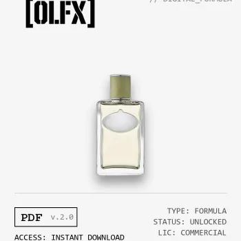 Les Infusions Vetiver Formula (Reconstruction)