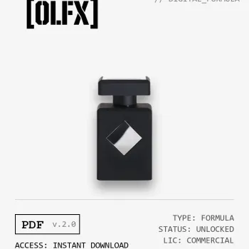 Mystic Experience Formula (Reconstruction)