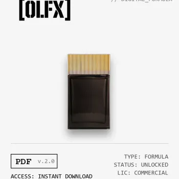 Noir Extreme Formula (Reconstruction)