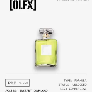 N°19 EDP Formula (Reconstruction)