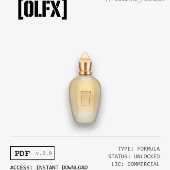 P.33 Formula (Reconstruction)