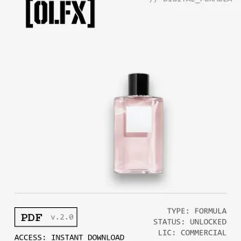 Paris-Paris Formula (Reconstruction)