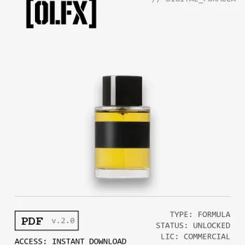 Promise Formula (Reconstruction)