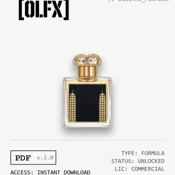 Qatar Formula (Reconstruction)