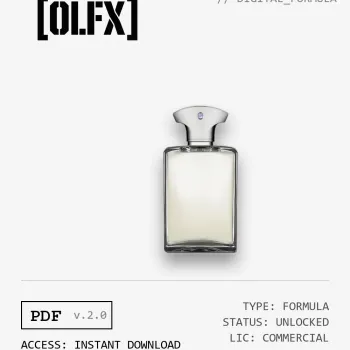 Reflection Man Formula (Reconstruction)