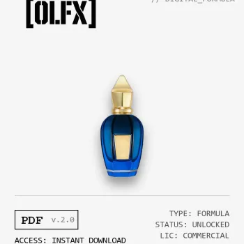 Torino24 Formula (Reconstruction)