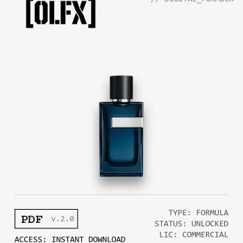 Y EDP Intense Formula (Reconstruction)