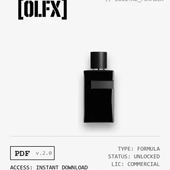 Y Le Parfum Formula (Reconstruction)